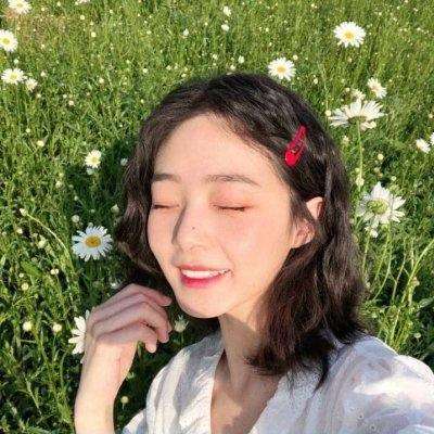 加拿大pc软件平台下载手机版