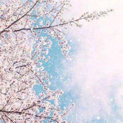 开云·体育(kaiyun)app下载