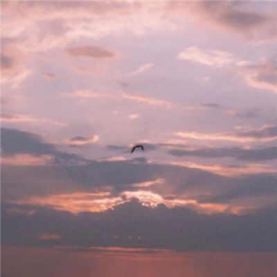 乐发app下载安装官网