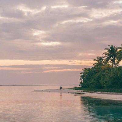 电玩城金鲨银鲨app下载