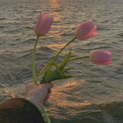 ayx体育在线登录下载手机版