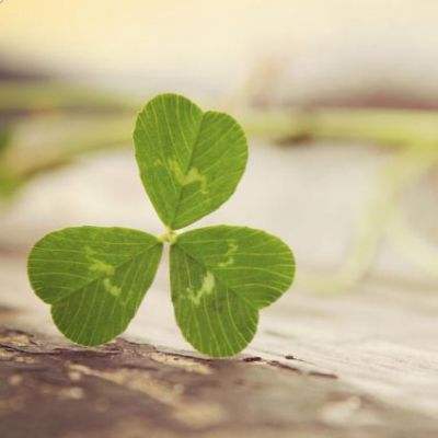 亚虎娱乐手机app下载