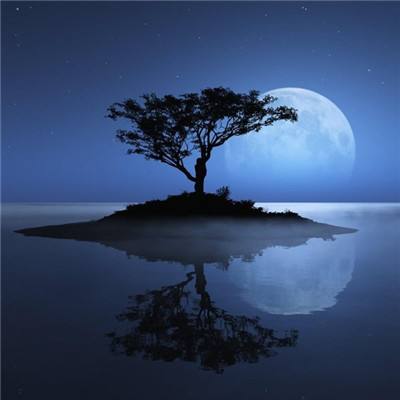 b体育官方app下载手机app下载截图