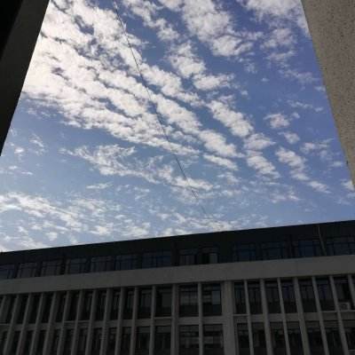 开元棋棋牌388ccvod